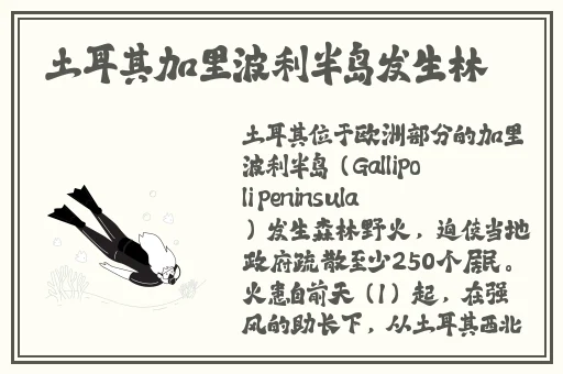 暴露狂楠楠